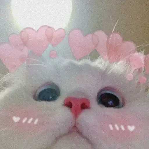 Ми-ми котики в preview