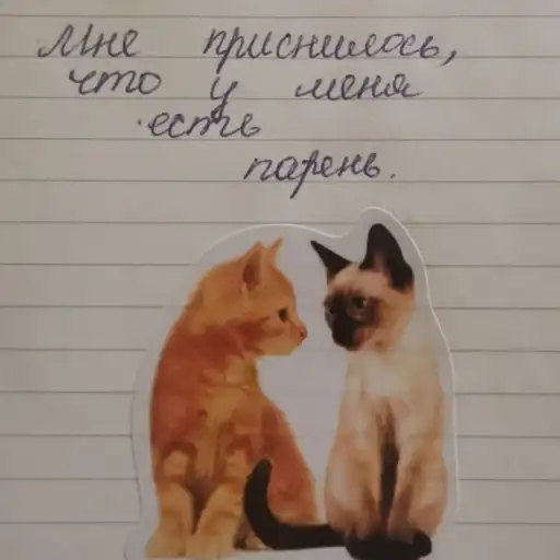 Sticker 👨‍❤️‍💋‍👨