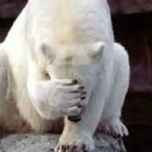 Sticker 🤦‍♂️