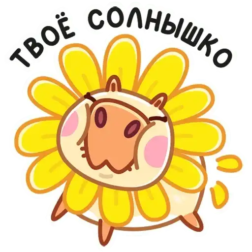 Sticker 🌞