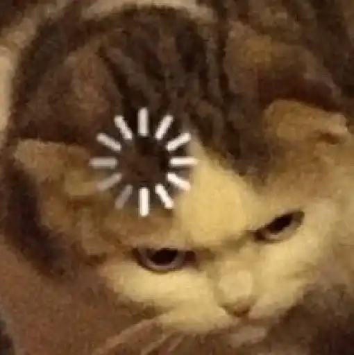 На все случаи жизне preview