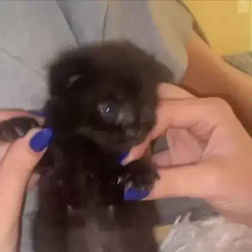 Sticker 🙂‍↔️