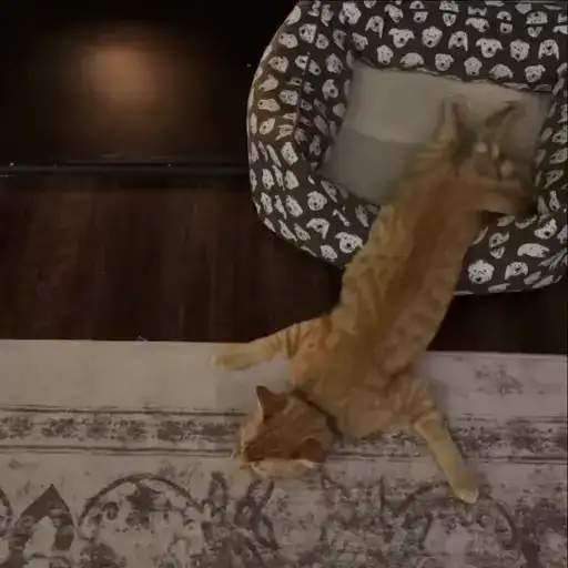 Sticker 🙂‍↕️