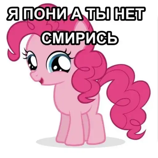 Я пони а ты нет, смирись🥰 preview