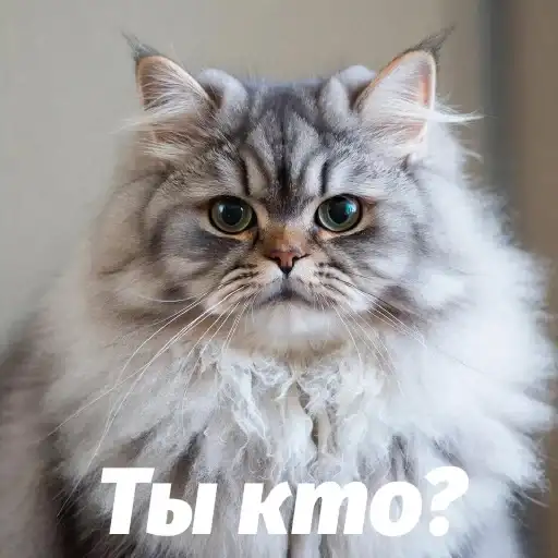 Sticker 🤷‍♀️