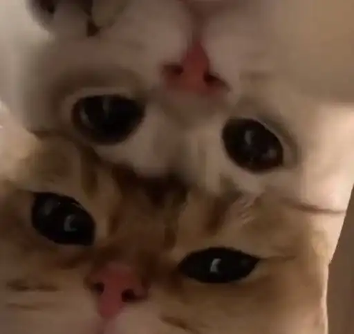 Sticker ❤️‍🔥