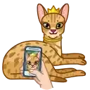 Sticker 👸