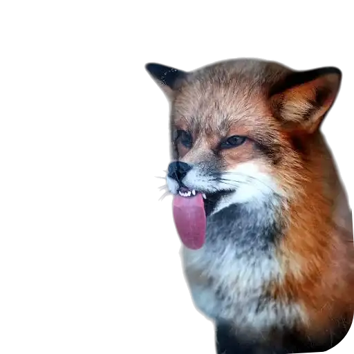 Sticker 🦊