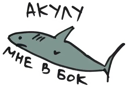 Sticker 🦈
