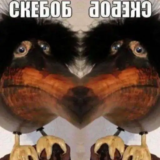 Sticker 👨‍❤️‍💋‍👨