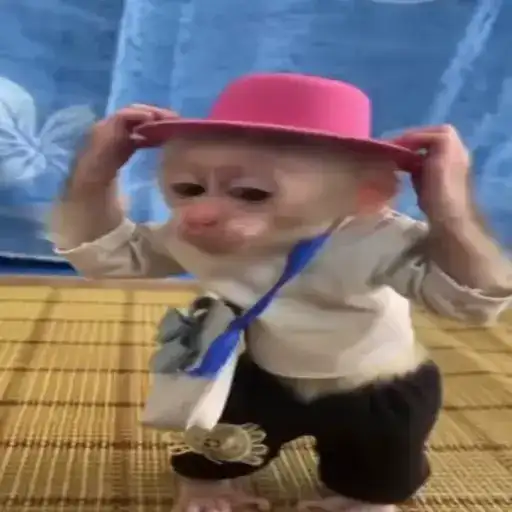 Манке брадки preview