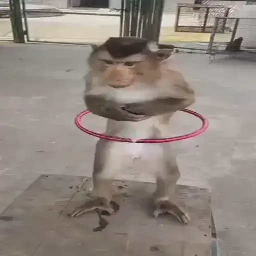 Sticker 👯‍♀️