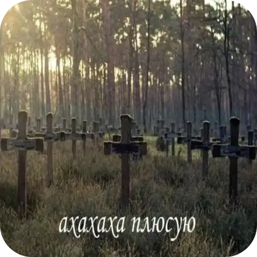 Просто preview