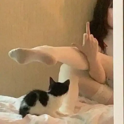 Sticker ❤️‍🩹