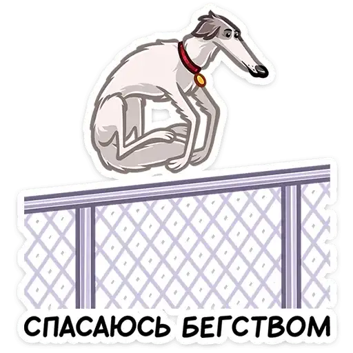 Sticker 🏃‍♀