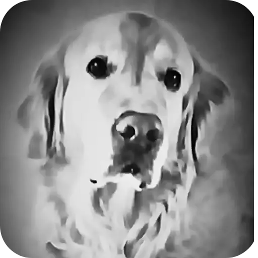 Шерлок🐶 preview