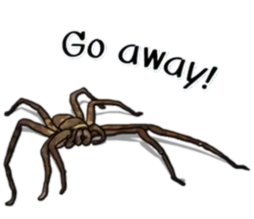 Spiders Time preview