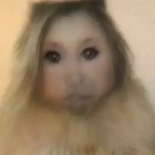 Melhor Grupo➠ preview