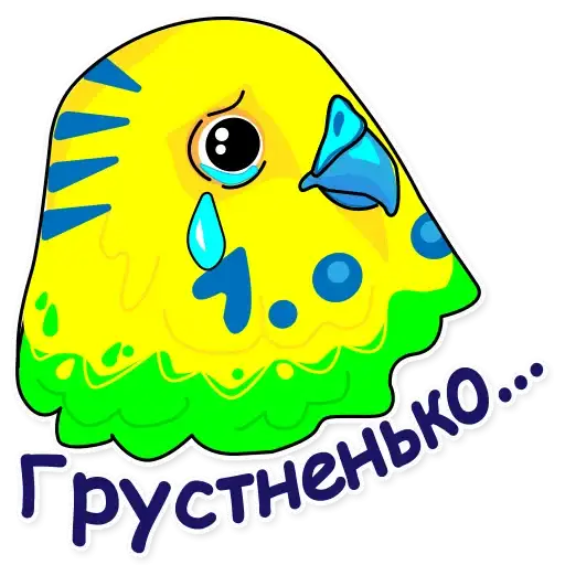 Попугай Аркадий preview