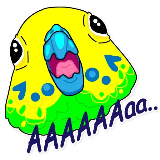 Попугай Аркадий preview