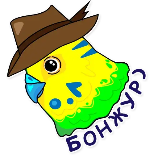 Попугай Аркадий preview