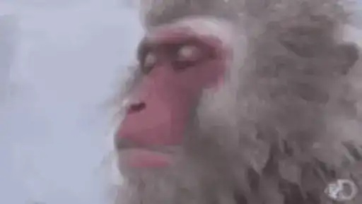 Sticker 😶‍🌫️