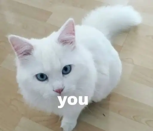 Sticker 👩‍❤️‍👨