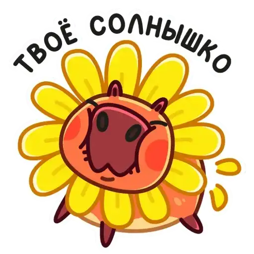 Sticker ☀️