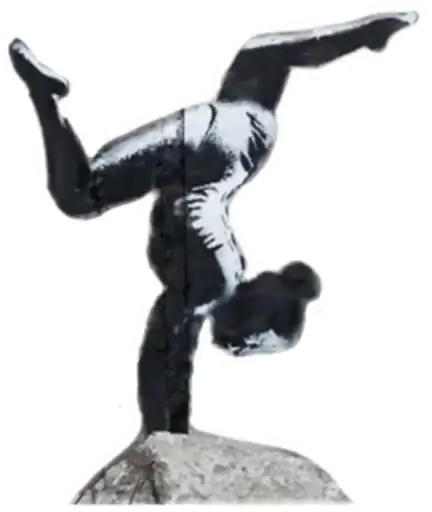 Sticker 🤸‍♀️