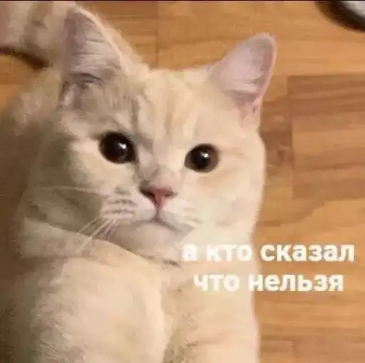 Sticker 🙅‍♂️