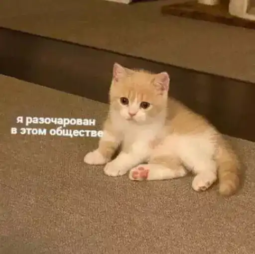 Sticker 🤦‍♂️