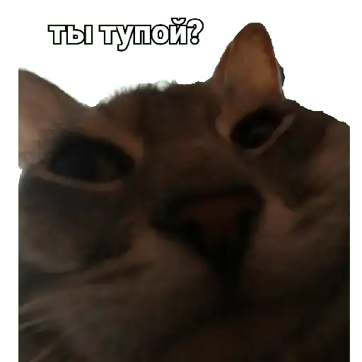 Чиф киф preview