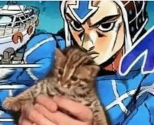 Sticker 🐈‍⬛️