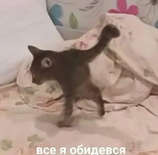 Sticker 🏃‍♂️