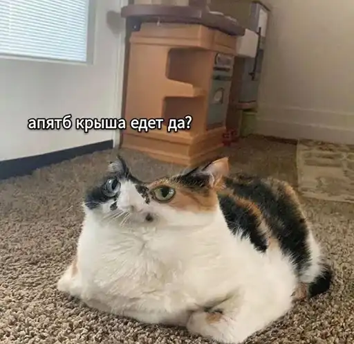 Sticker 👩‍⚕️