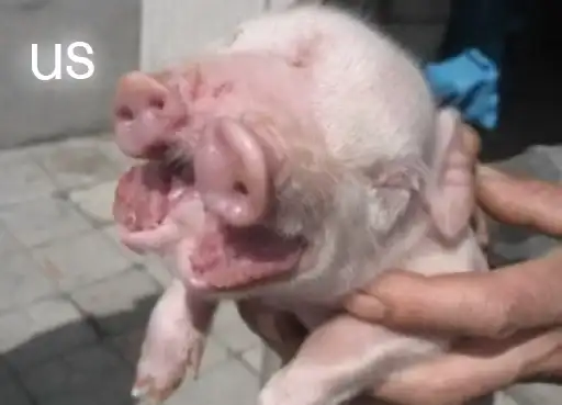 ˚‧ ୨♡୧ ‧₊˚ angel of blood spilling ｡₍ 𓆩 ♡ 𓆪 ₎ ｡ﾟ preview