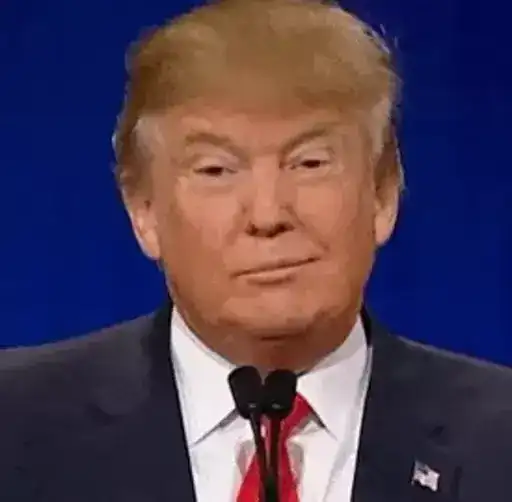 Donald Trump preview