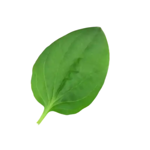 Sticker 👨‍⚕️