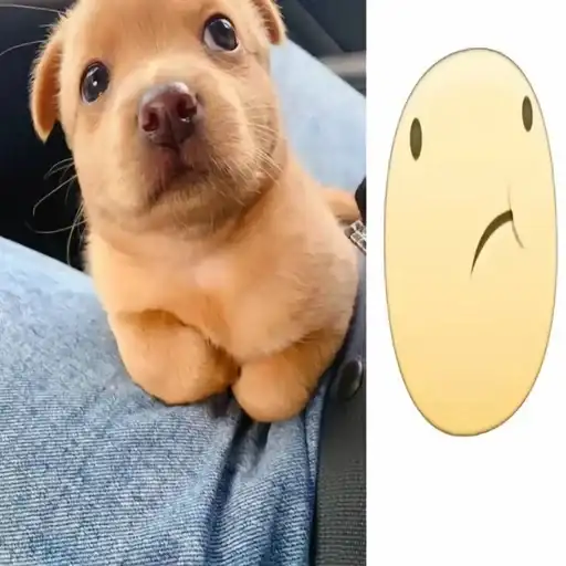 Собачка мили preview