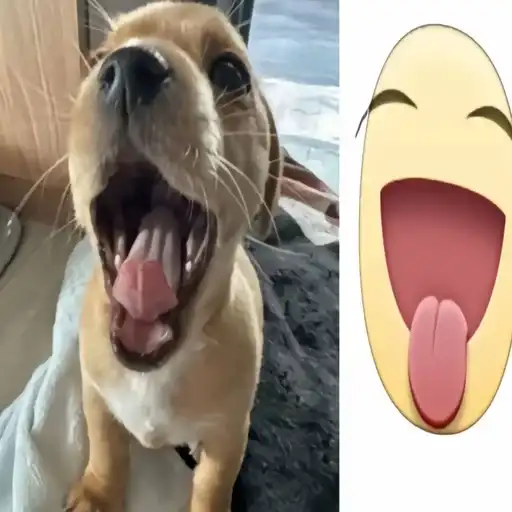 Собачка мили preview