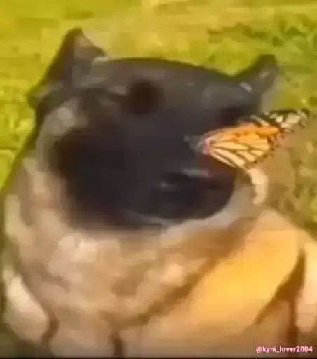 Sticker 😶‍🌫️