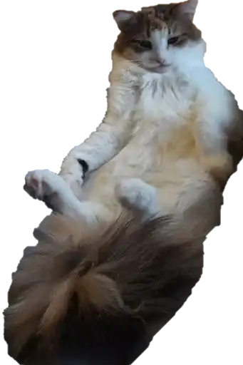 Sticker 🦹‍♀️