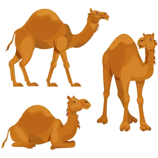 Sticker 🐫