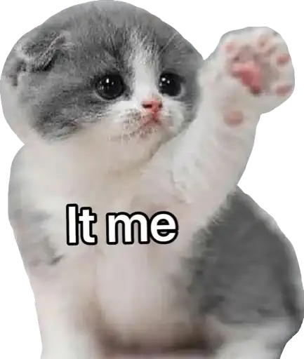 Sticker 🙋‍♀️