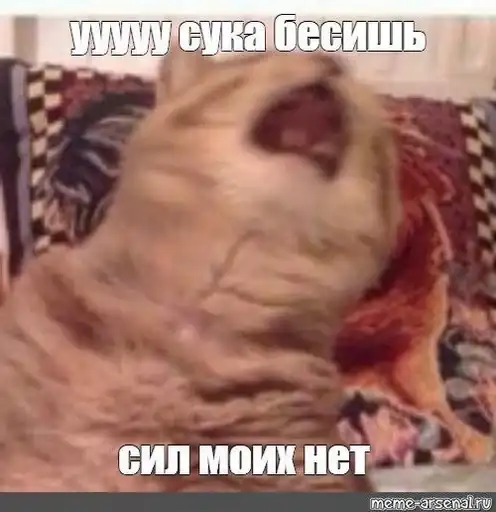 Crying cats v. 2 preview