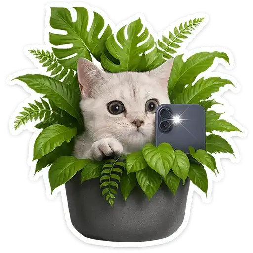 Sticker 🐱