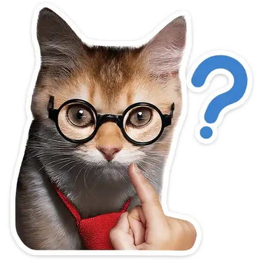 Sticker 🐱