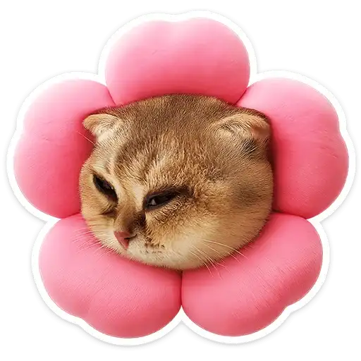 Sticker 🐱