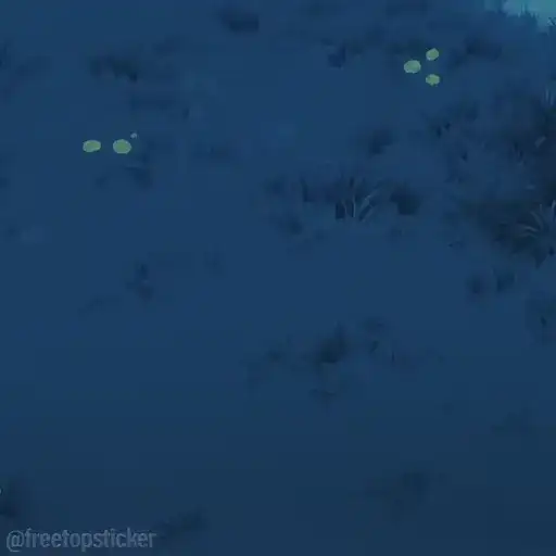 Tonari no Totoro preview