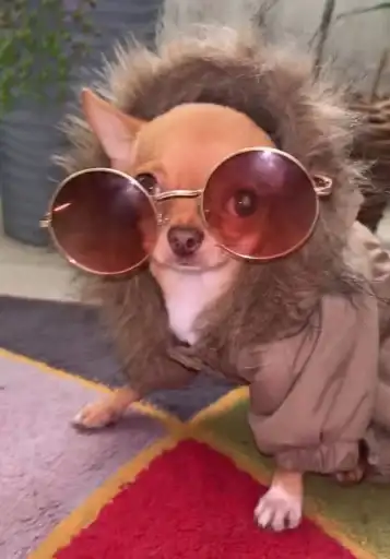 ШАБАКА ИЗ ТТ preview